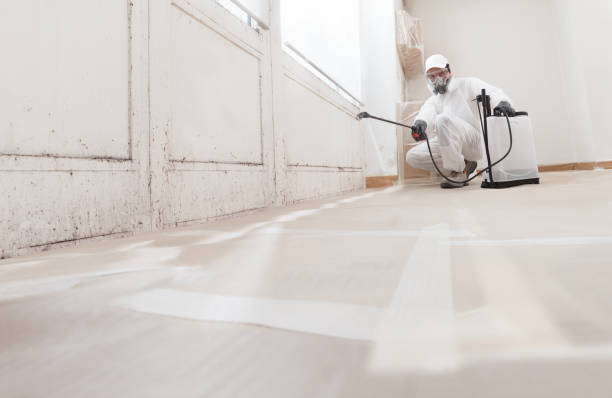 Biohazard Mold Removal in Sweet Springs, MO